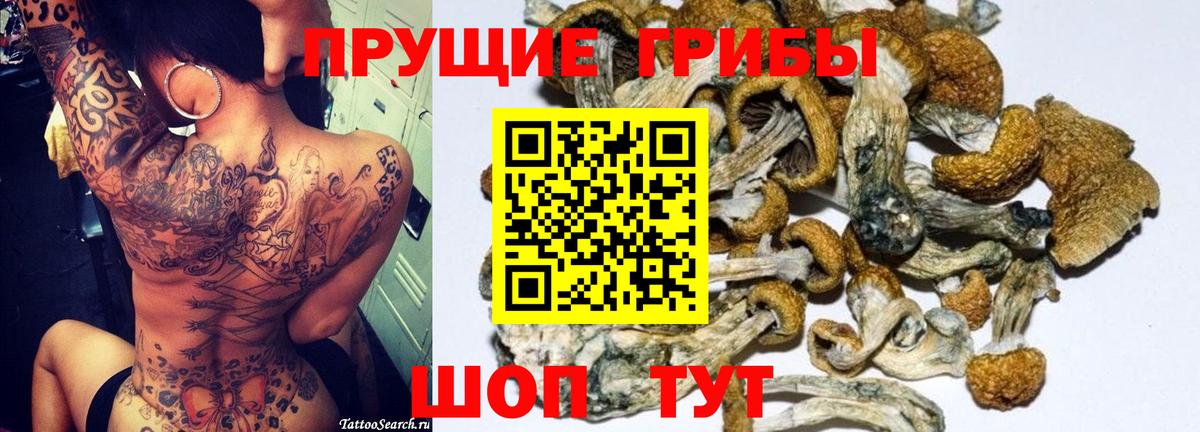 Галлюциногенные грибы мухоморы  Вход с VPN  Ивантеевка 