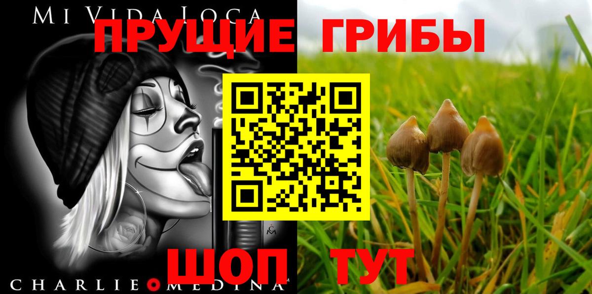 ГАШ Ивантеевка